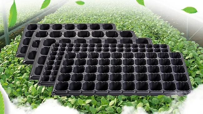 Quali sono le macchine per la produzione di vassoi per piantine?