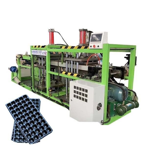 Vassoi per piantine irregolari e capacità ridotta? Tutti i problemi risolti. - Notizie - Qingdao Eaststar Plastic Machinery Co., Ltd.